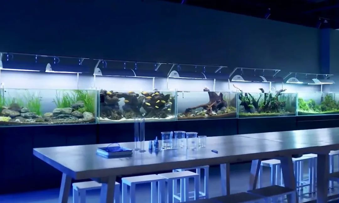 探秘深藍(lán)|科技海洋館 智慧新體驗(yàn)