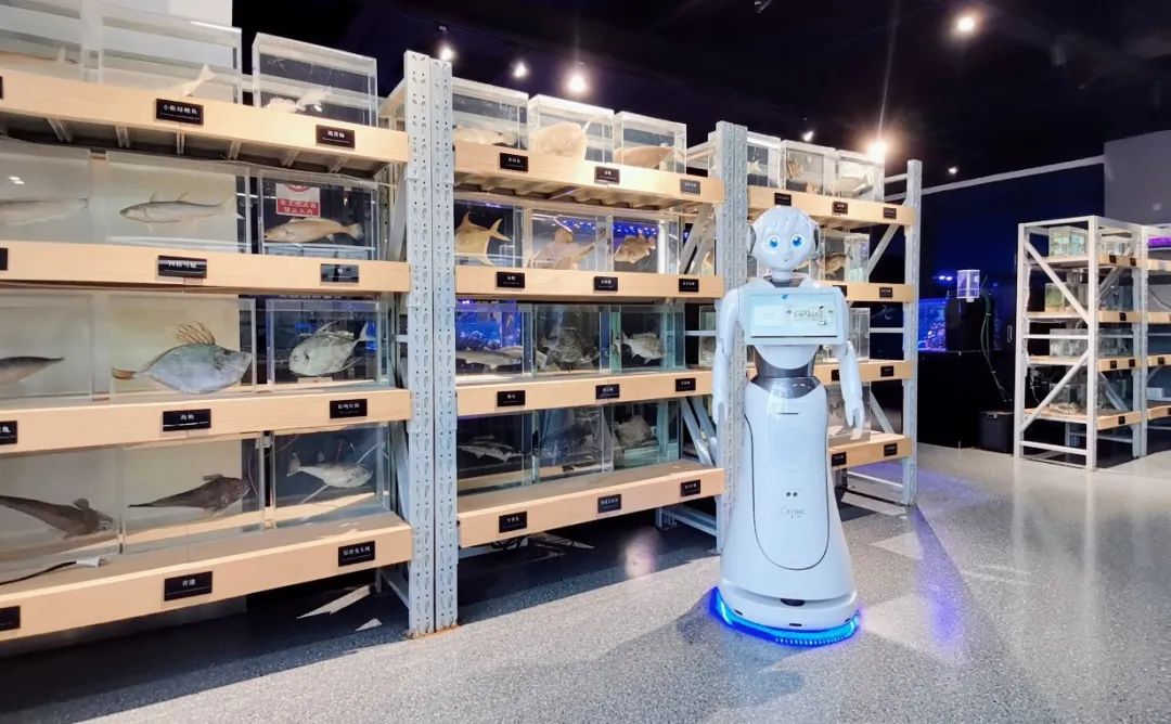 探秘深藍(lán)|科技海洋館 智慧新體驗(yàn)